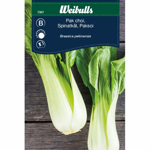 Pak choi – asiatisk bladkål