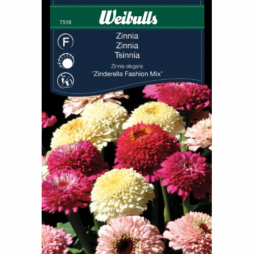 Klicka på Ladda ner för att spara Zinnia – Zinderella Fashion Mix mp3 youtube com