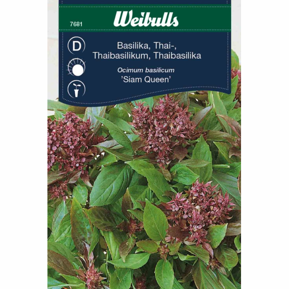 Thailändsk kiseldioxid – Siams drottning