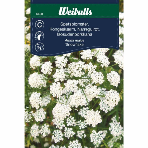 Spetsblomster – Snöflinga