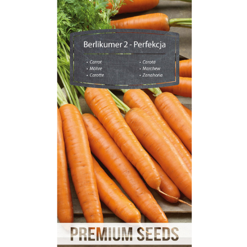 Morot BERLIKUMER 2 – PERFEKTION - 4100 frön