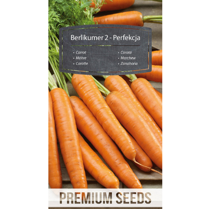 Morot BERLIKUMER 2 – PERFEKTION - 4100 frön